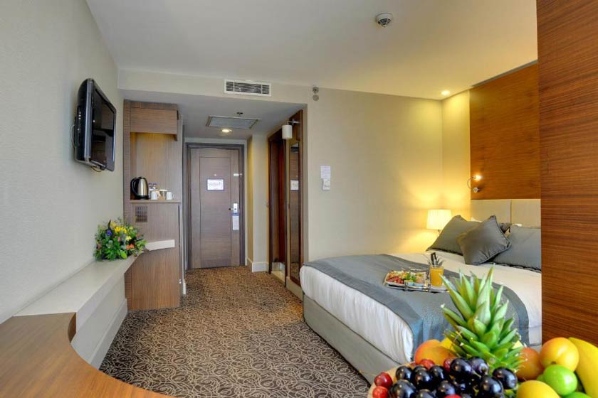 New Park Hotel Ankara - Standard Double or Twin Room