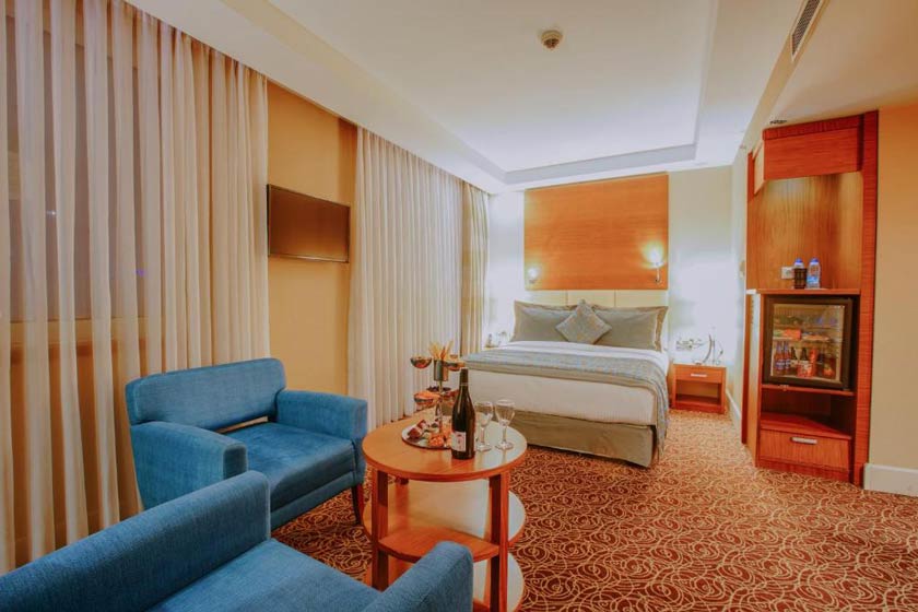 New Park Hotel Ankara - Deluxe Queen Room