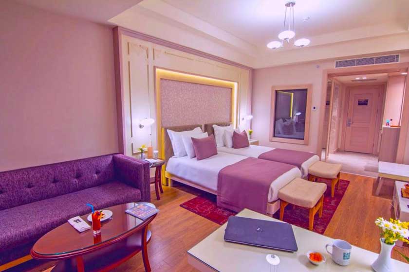 The Green Park - Ankara - Deluxe Double or Twin Room with City View