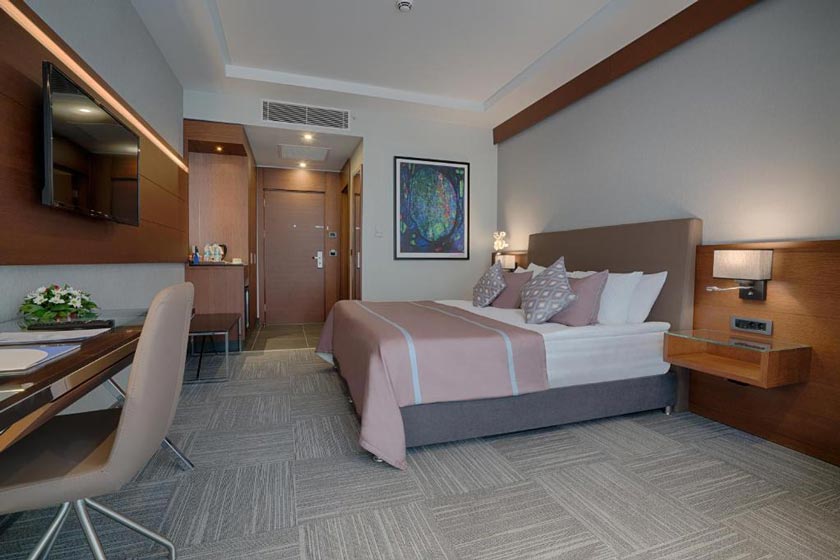 Point Hotel Ankara - Deluxe Room