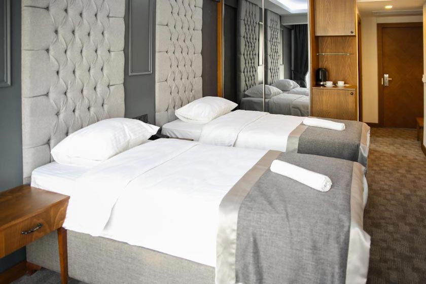 New Gate Hotel Ankara - Standard Double or Twin Room