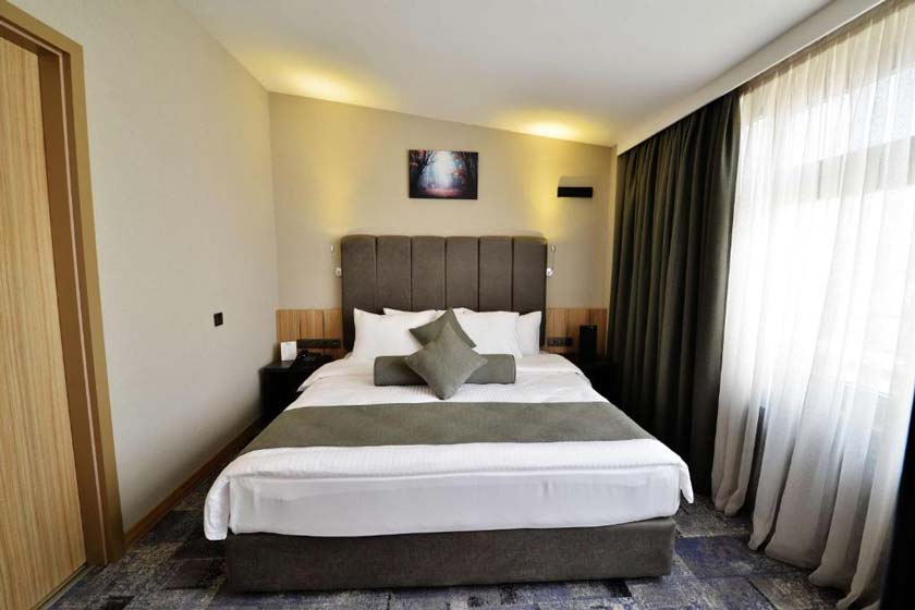 Best Western Plus Center Hotel ankara - double room