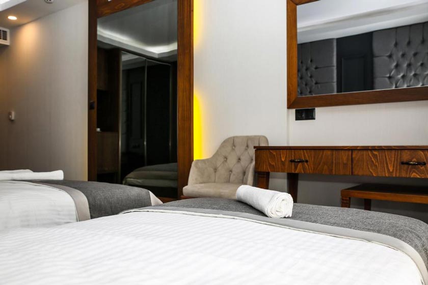 New Gate Hotel Ankara - Standard Double or Twin Room