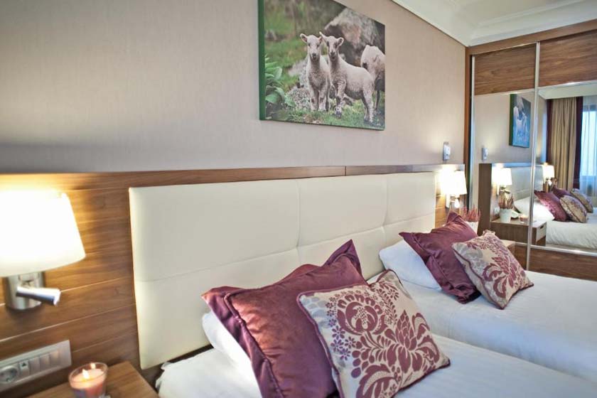 Apart Hotel Best Ankara - Executive Double Room