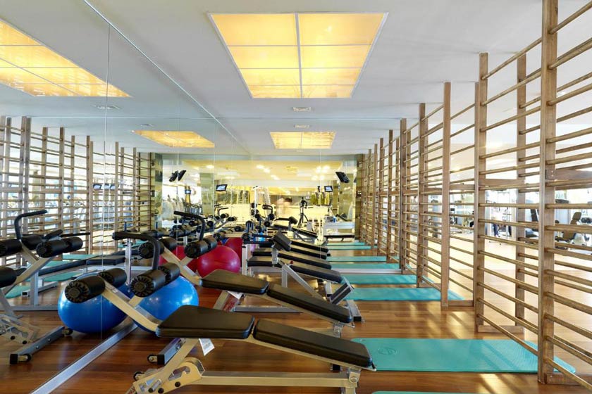 Renaissance Polat Istanbul - fitness center