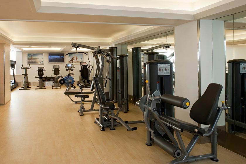 Holiday Inn Istanbul City - Fitness center