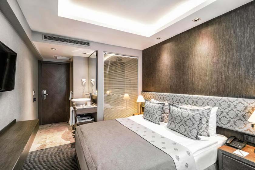 Grand Beyazit Hotel Istanbul - Standard Double King or Twin Room