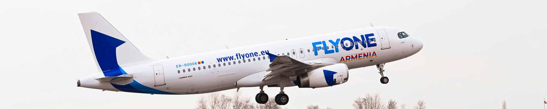 حمل حیوان خانگی در کابین در پروازهای فلای وان