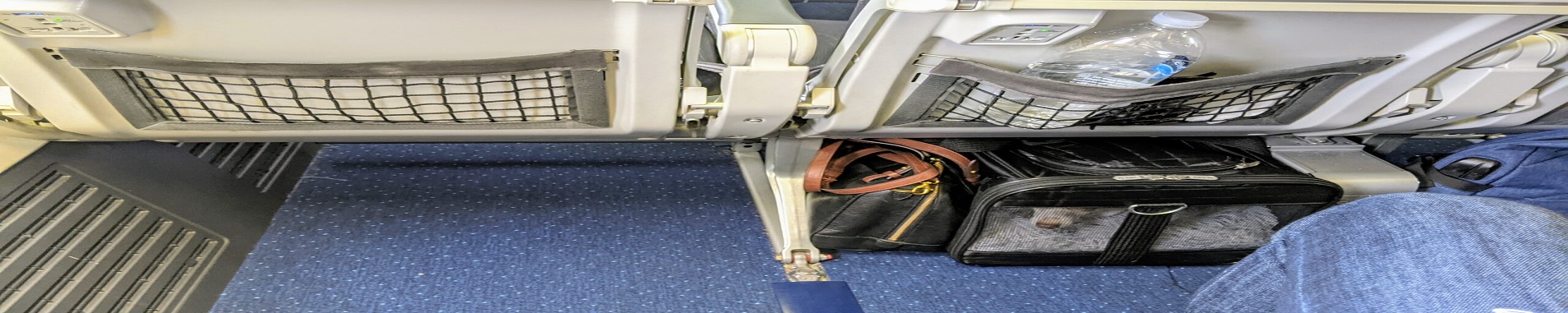 ممنوعیت حمل کابین حیوانات در پروازهای پگاسوس