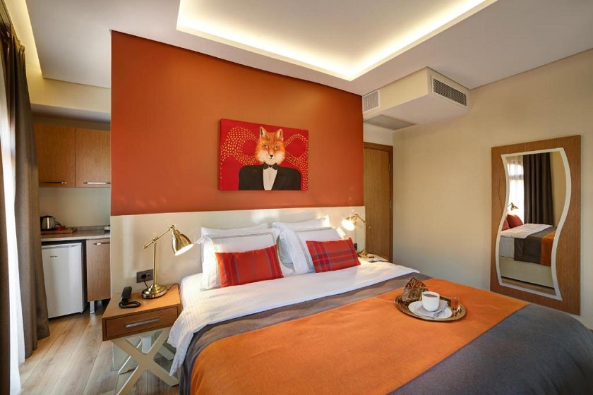 The Fox Hotel Istanbul - Standard Room