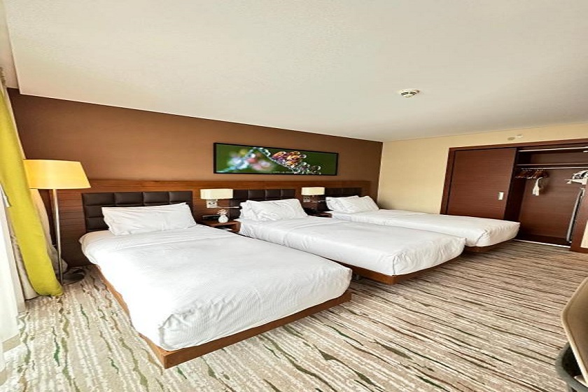 DoubleTree by Hilton Trabzon - Triple Room