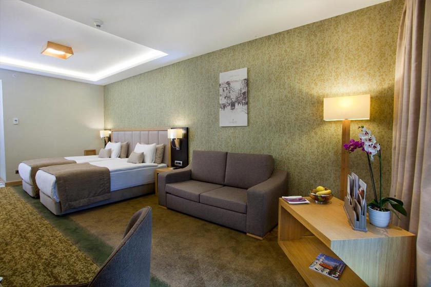  The Prma Hotel & Spa Taksim Istanbul - Executive Double Room