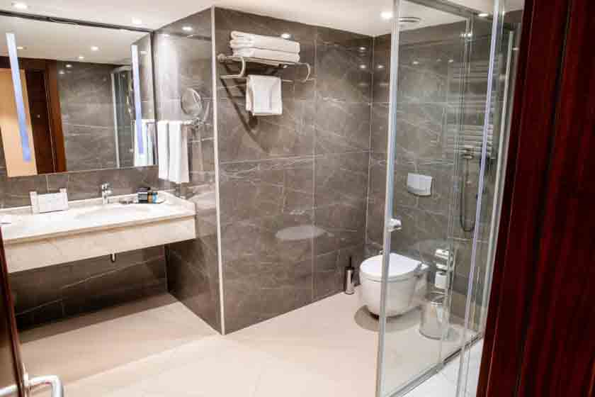 Grand Aras Hotel And Suites Istanbul - Deluxe Double Room