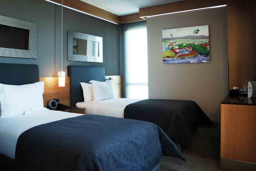 Point Hotel Barbaros Istanbul - Deluxe Twin Room