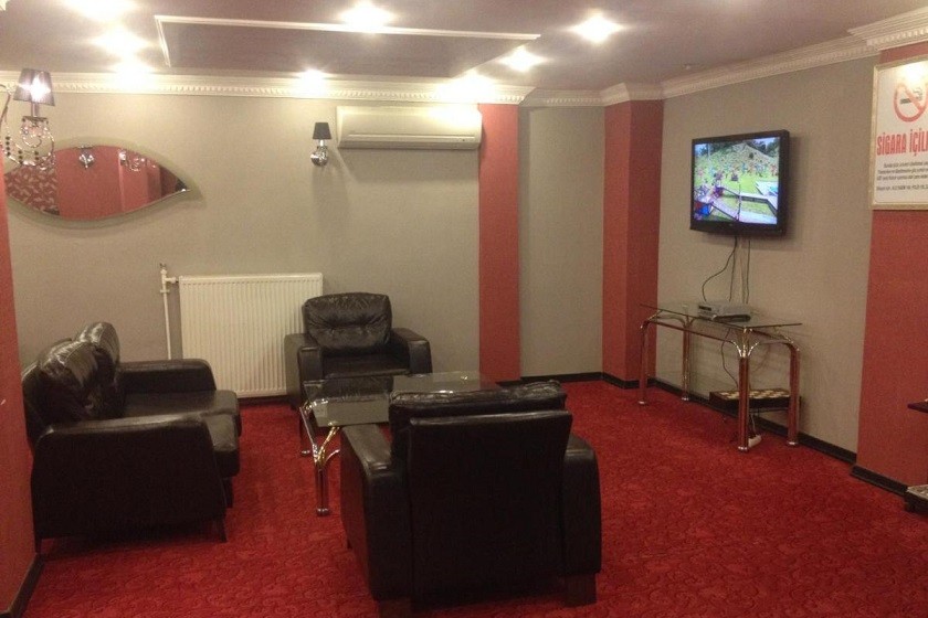 Mina 1 Hotel Ankara - TV area