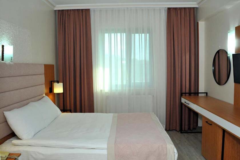 Lion City Hotel Ankara - Standard Single Room