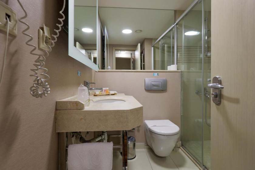 Niza Park Hotel Ankara - Standard Double Room