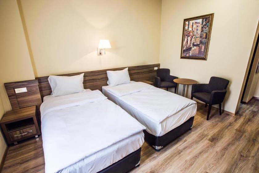 Yerevan Deluxe Hotel - Standard Twin Room