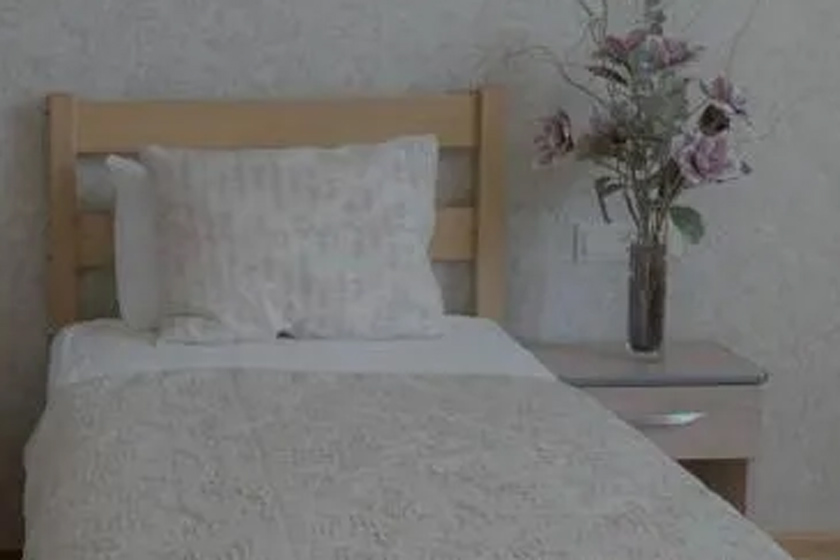 Inga Hotel Yerevan - Triple Room with Garden View