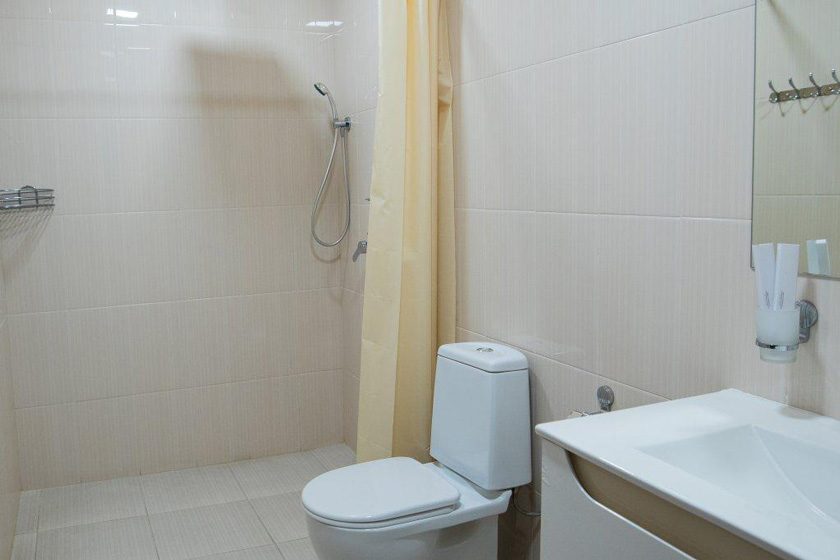 Inga Hotel Yerevan - Deluxe Single Room