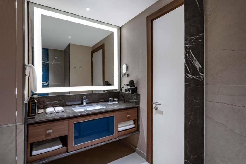 Tbilisi Philharmonic Hotel by Mercure - Standard Double Room