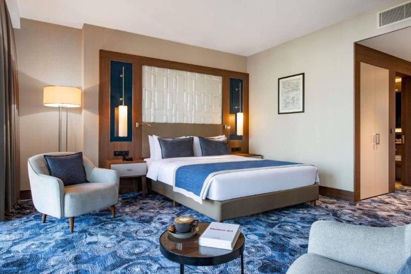 Tbilisi Philharmonic Hotel by Mercure - Deluxe Double Room