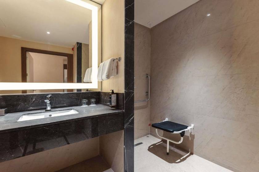 Tbilisi Philharmonic Hotel by Mercure - Standard Double Room - Disability Access