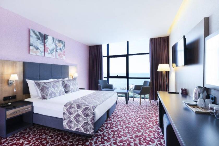 Euphoria Batumi Convention & Casino Hotel - Standard King Room