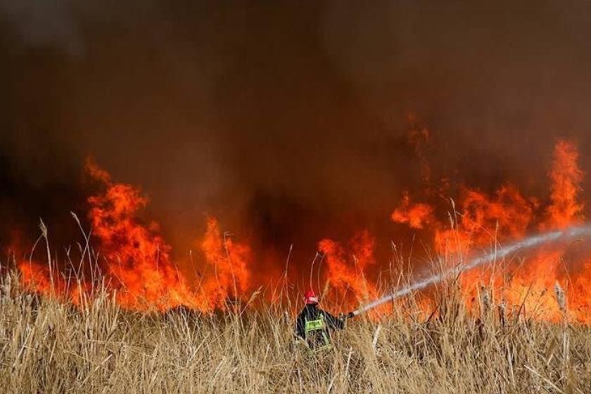 هزاران هکتار از بزرگترین پارک طبیعی آفریقا خاکستر شد
