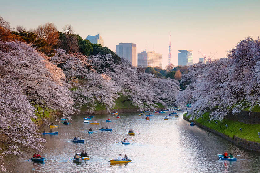 تور نوروزی کلمبو