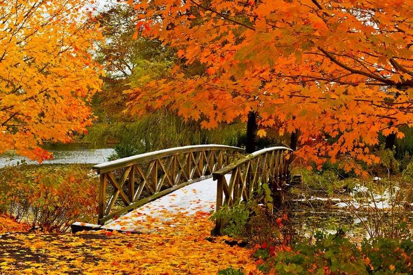 طبیعت پاییز. منبع عکس: وبسایت Timeout.Com. عکاس: نامشخص