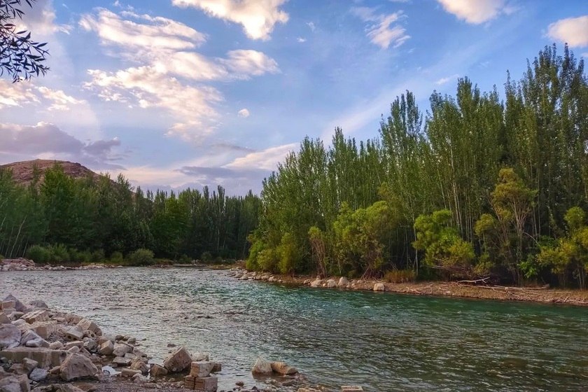 باغ بهادران