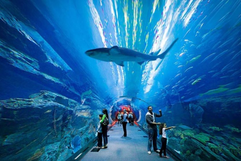 آکواریوم آتلانتیس