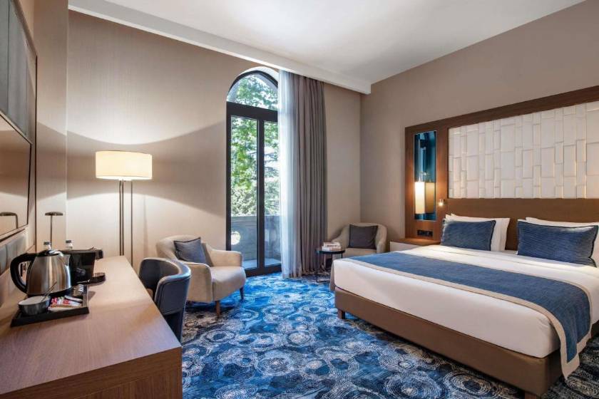 Tbilisi Philharmonic Hotel by Mercure - Standard Double Room