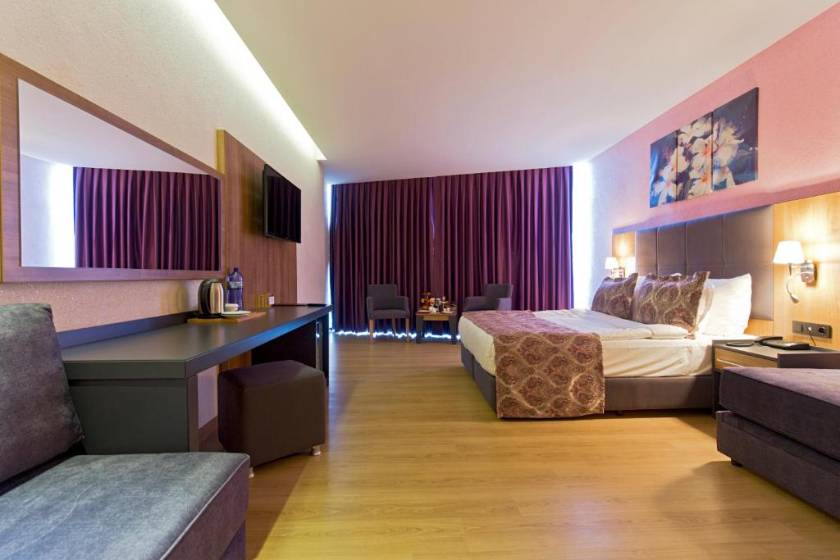 Euphoria Batumi Convention & Casino Hotel - Superior Double Room