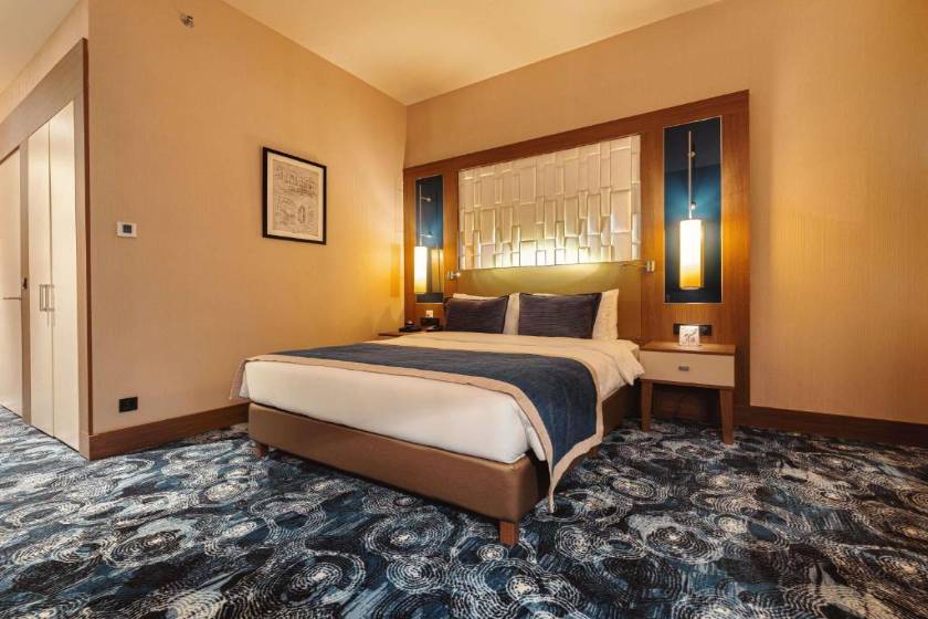 Tbilisi Philharmonic Hotel by Mercure - Standard Double Room - Disability Access