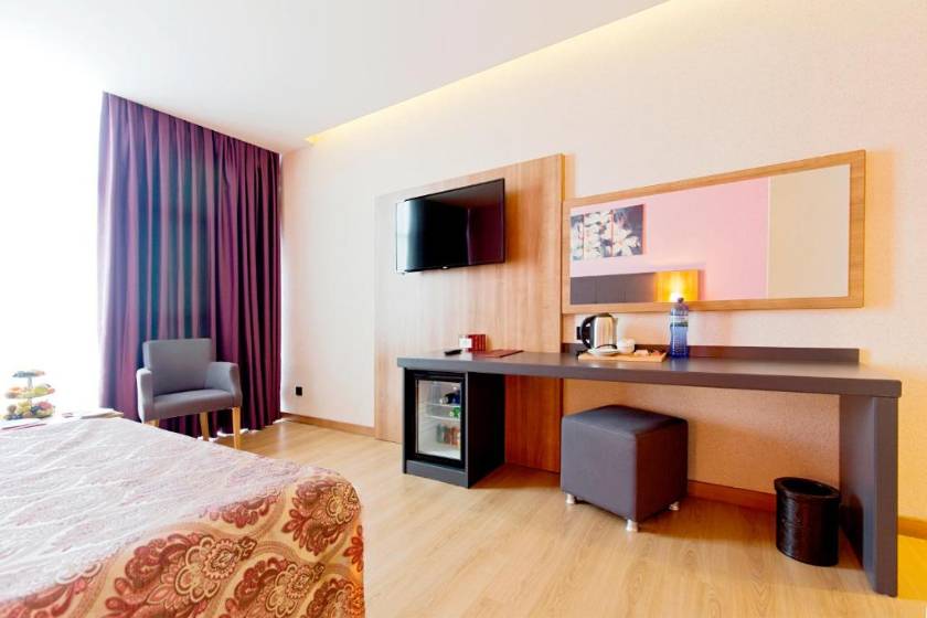Euphoria Batumi Convention & Casino Hotel - Superior Double Room