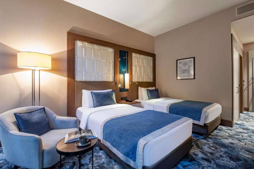 Tbilisi Philharmonic Hotel by Mercure - Standard Twin Room