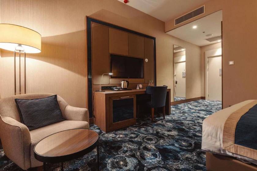 Tbilisi Philharmonic Hotel by Mercure - Standard Double Room - Disability Access