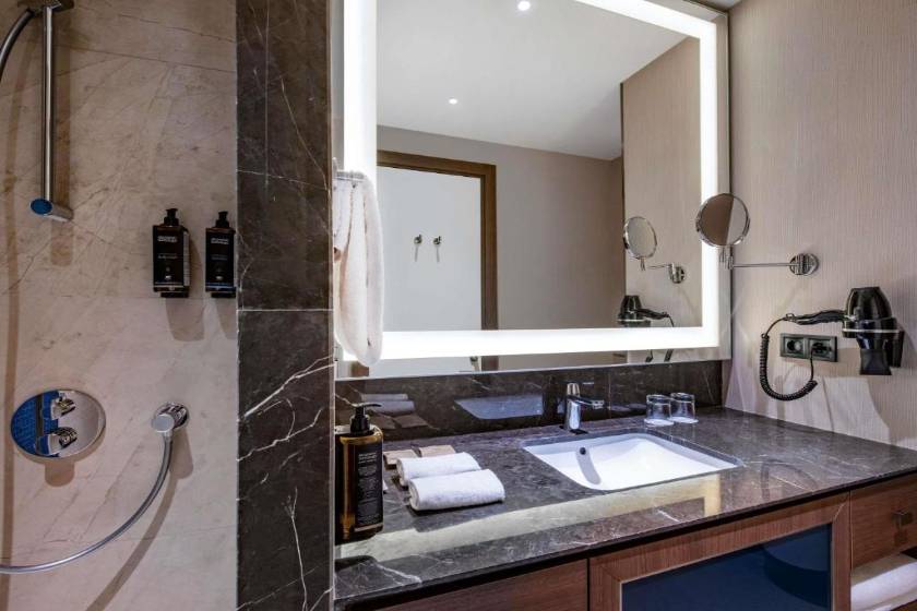 Tbilisi Philharmonic Hotel by Mercure - Standard Twin Room