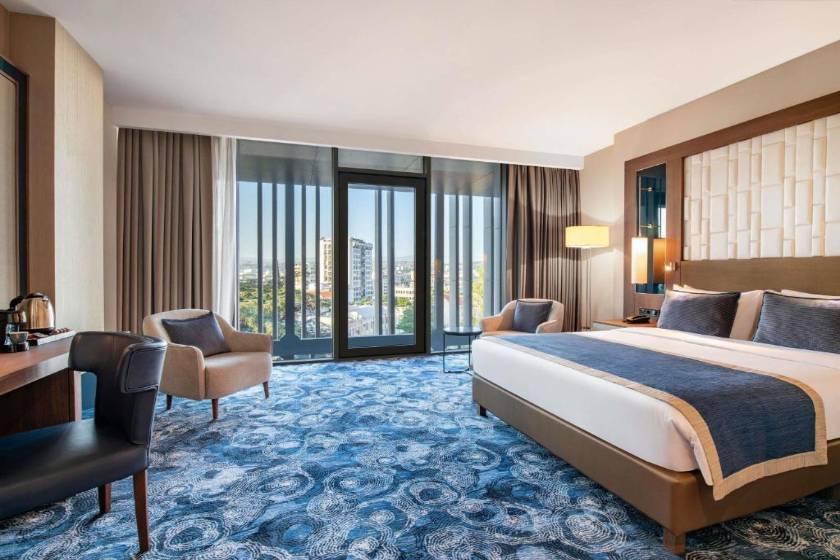 Tbilisi Philharmonic Hotel by Mercure - Deluxe Double Room