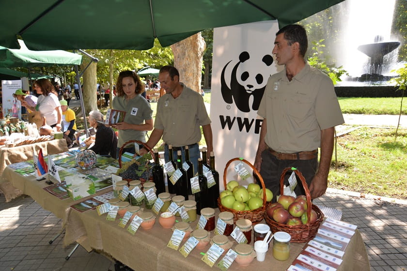 جشنواره زندگی و سنت‌های روستایی