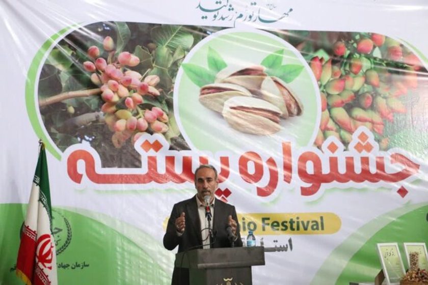 پنجمین جشنواره پسته در باغات بخش ایلخچی شهرستان اسکو برگزار می‌شود