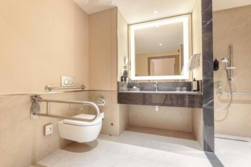 Tbilisi Philharmonic Hotel by Mercure - Standard Double Room - Disability Access
