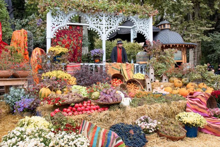 جشنواره تبلیسوبا