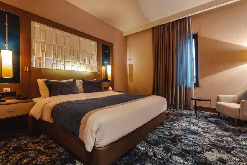 Tbilisi Philharmonic Hotel by Mercure - Standard Double Room - Disability Access