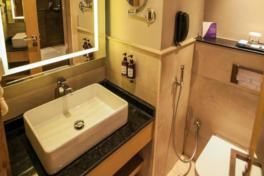 Flora Inn Hotel Dubai Airport Dubai - Premium Double or Twin Room 