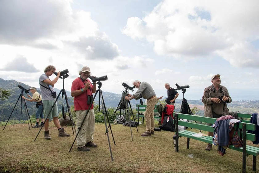 جشنواره تماشای پرندگان باتومی