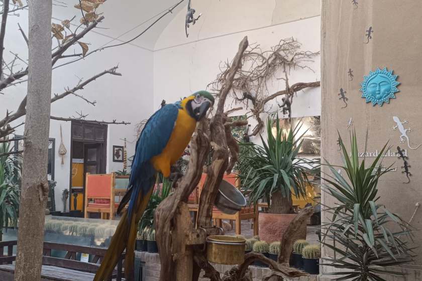 خانه حیوانات