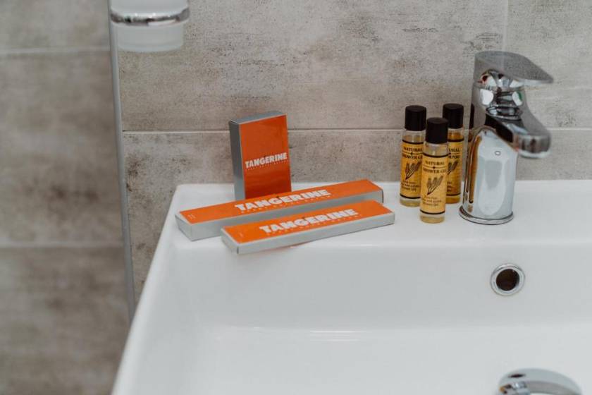 Aparthotel Tangerine - Classic Double Room with Balcony